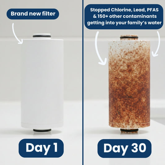 Purafion 3.0 Ultimate Shower Filter